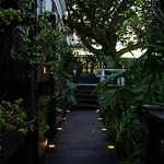 Green Point\'S Haven - Indulge In An Urban Oasis