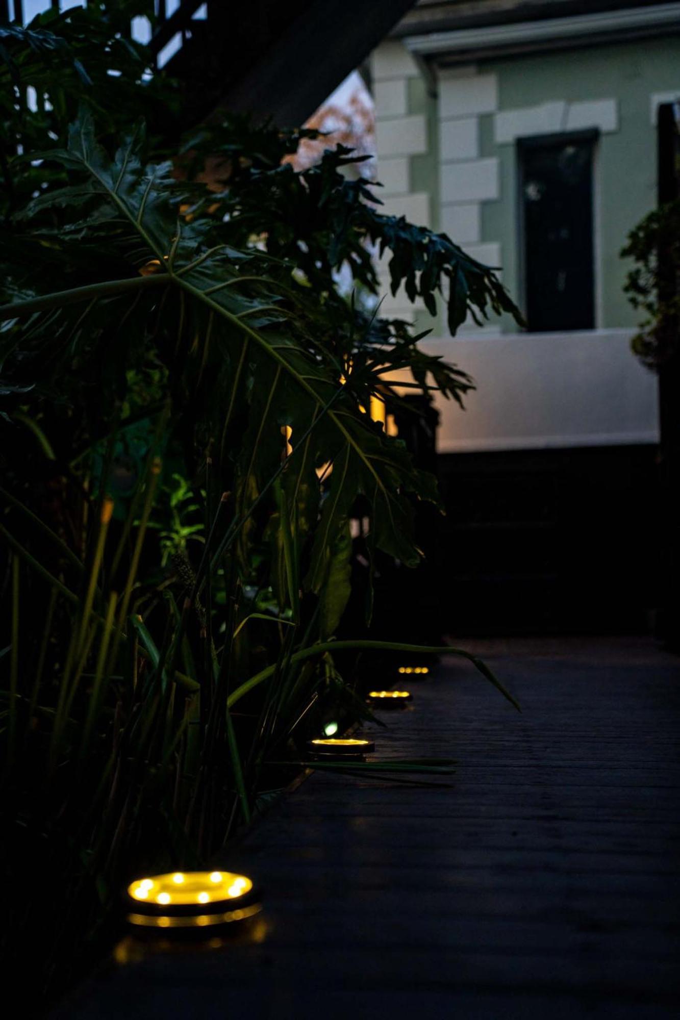 Apartment Point's Haven - Indulge In An Urban Oasis